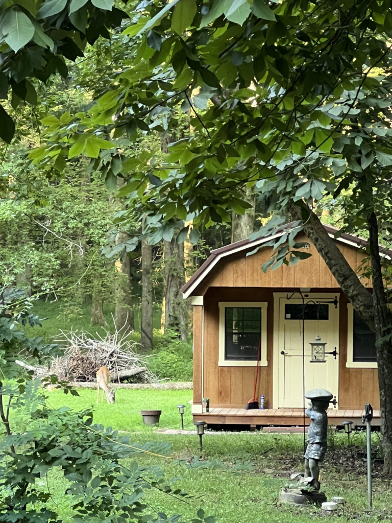 Little Golf Store in the Woods